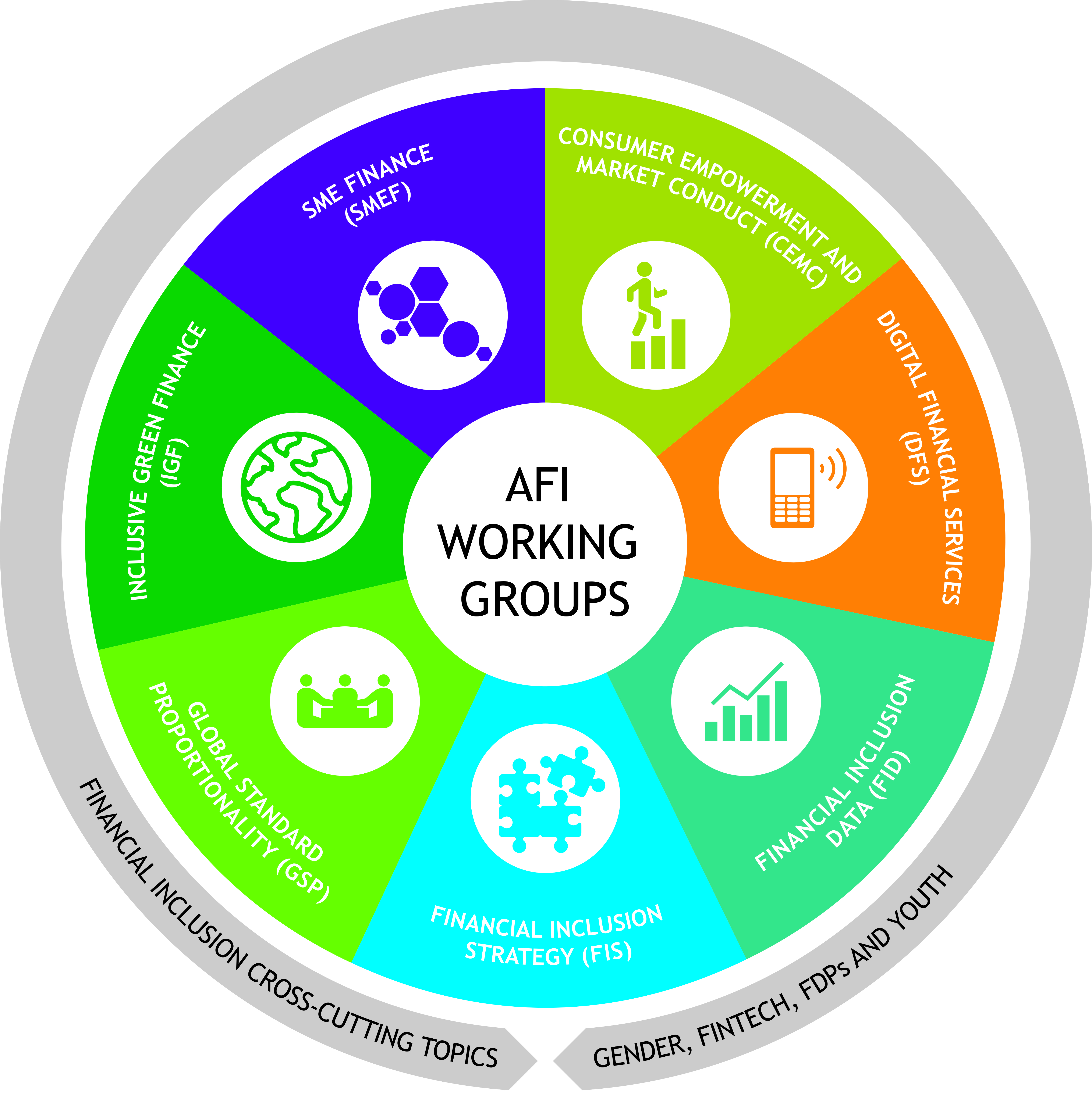 Working Groups Alliance for Financial Inclusion Bringing smart